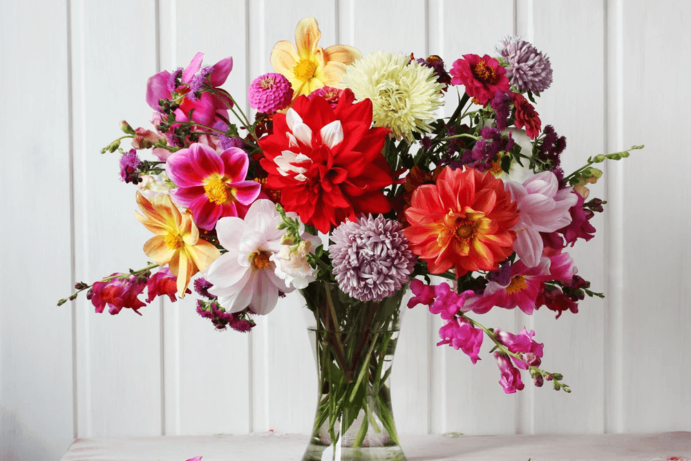 A vibrant bouquet of assorted flowers in a clear vase against a white background.