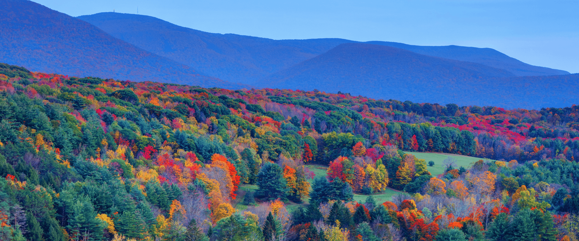 A vast landscape of rolling hills covered in vibrant autumn foliage.