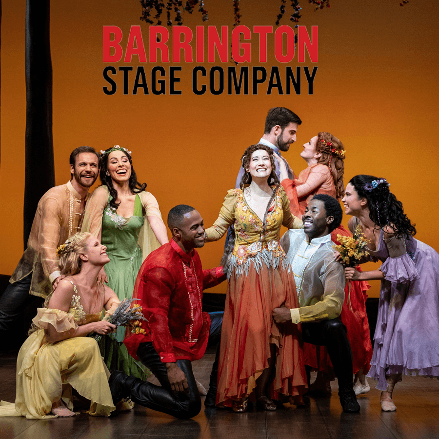A joyful cast of actors in colorful costumes poses together on stage, with "Barrington Stage Company" text above them.